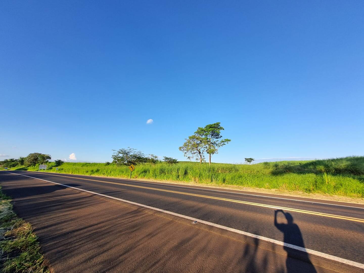 #218 - Sítio para Venda em Jales - SP