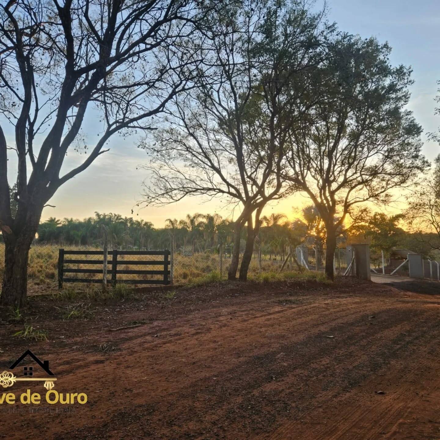 #280 - Chácara para Venda em Jales - SP