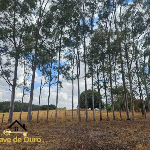 #281 - Chácara para Venda em Jales - SP