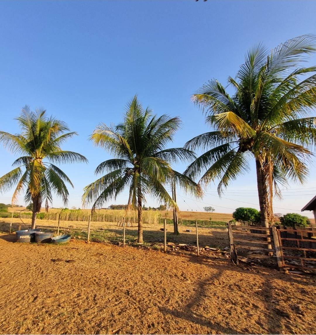 #291 - Sítio para Venda em Marinópolis - SP