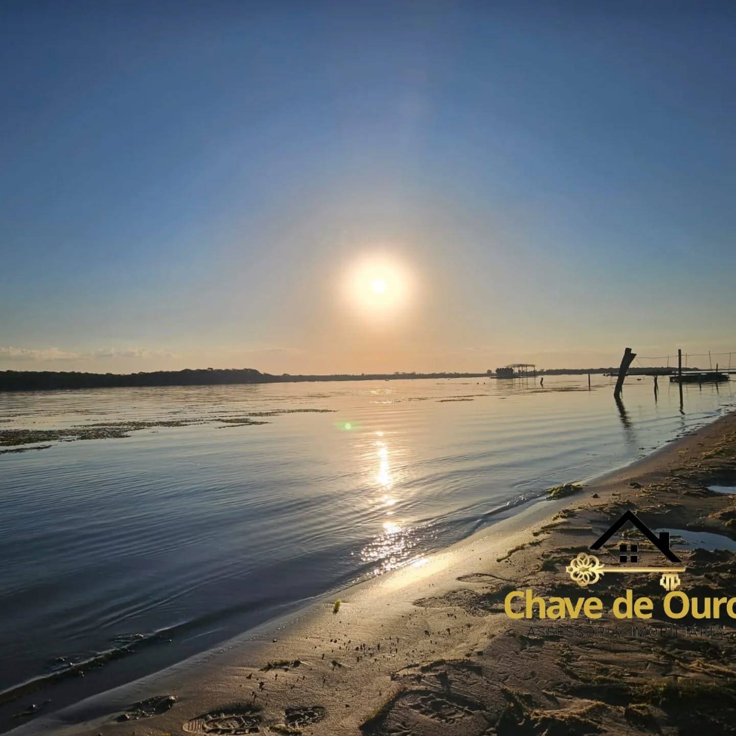 #300 - Chácara para Venda em Santa Fé do Sul - SP