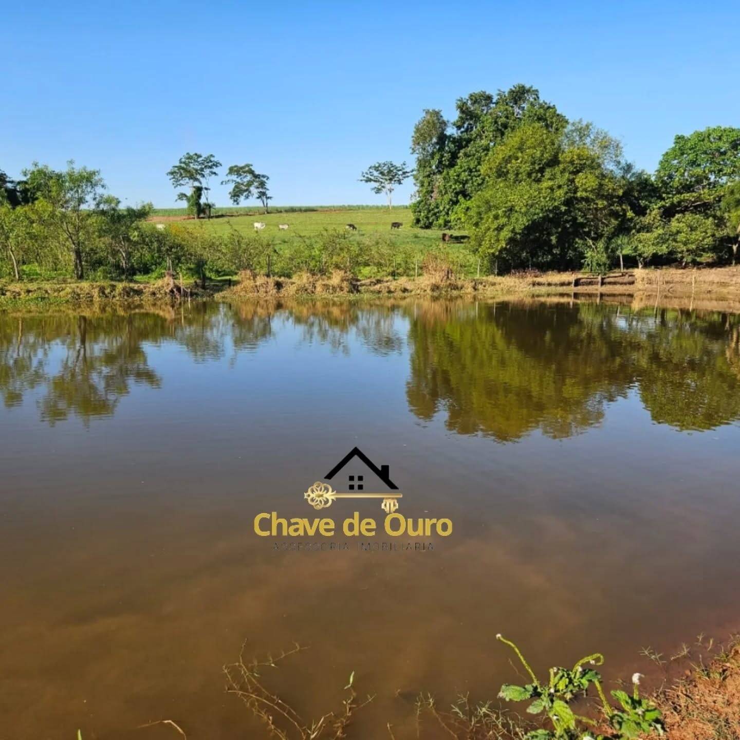 #301 - Sítio para Venda em Pontalinda - SP