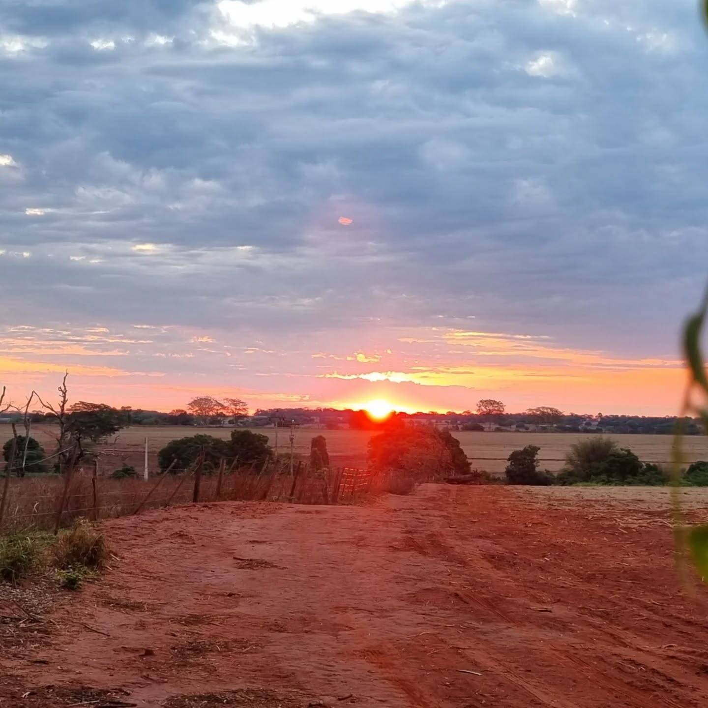 #312 - Chácara para Venda em Jales - SP