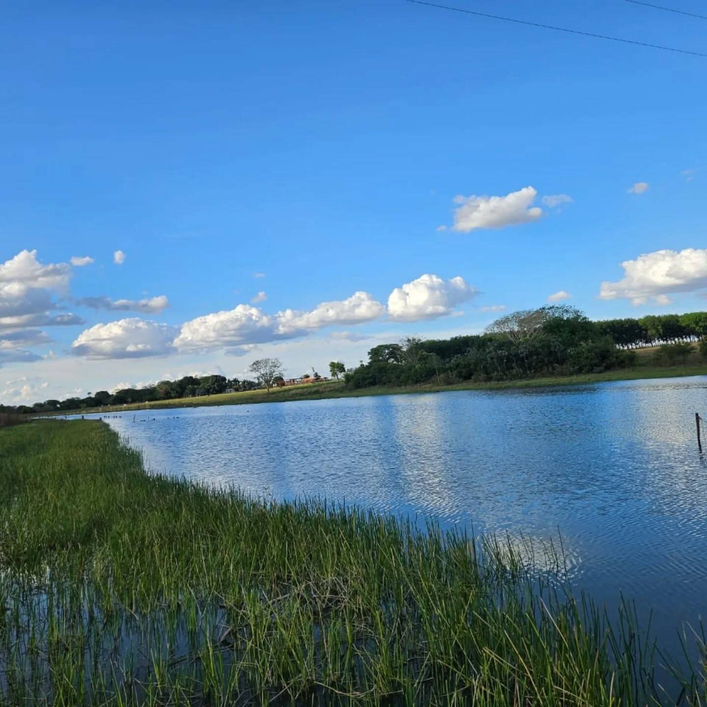 #317 - Chácara para Venda em Paranapuã - SP