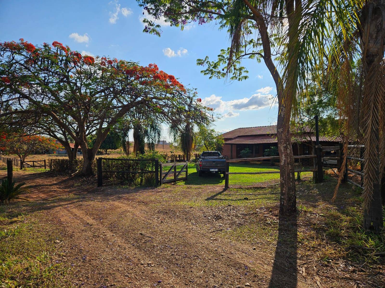 #323 - Chácara para Venda em Jales - SP