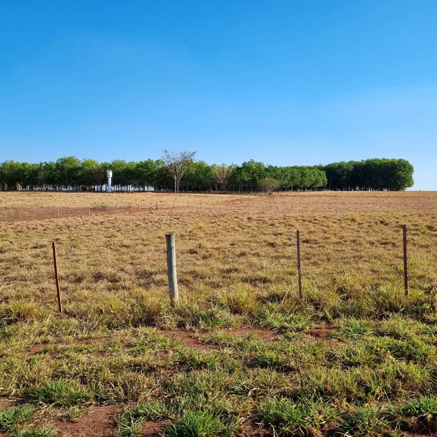 #330 - Chácara para Venda em Jales - SP