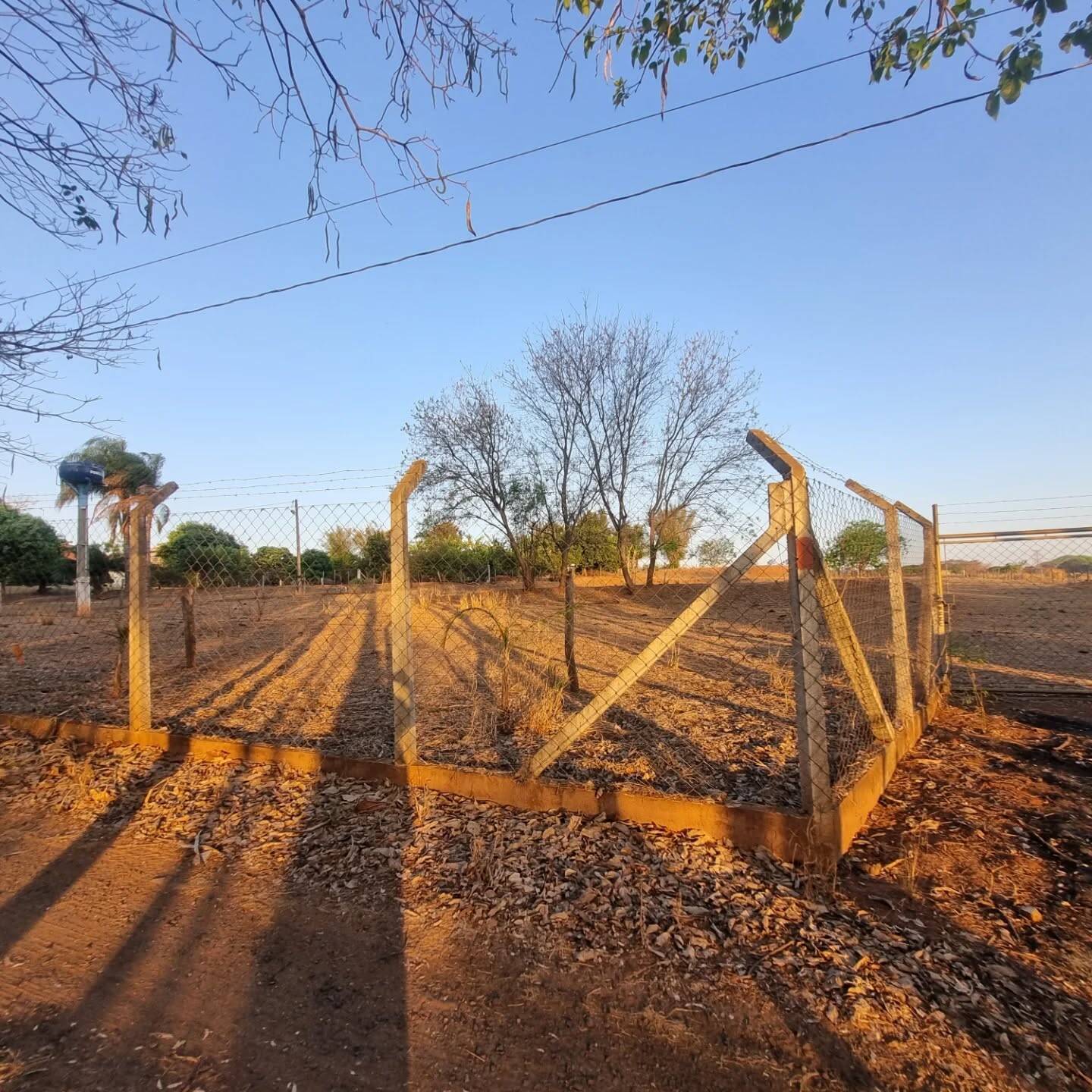 #331 - Chácara para Venda em Jales - SP