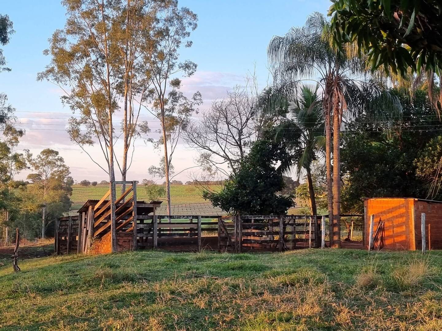 #333 - Sítio para Venda em Jales - SP