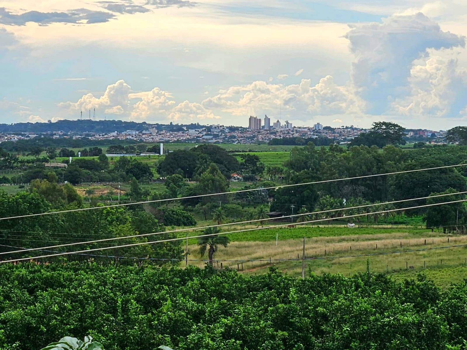 #337 - Chácara para Venda em Jales - SP