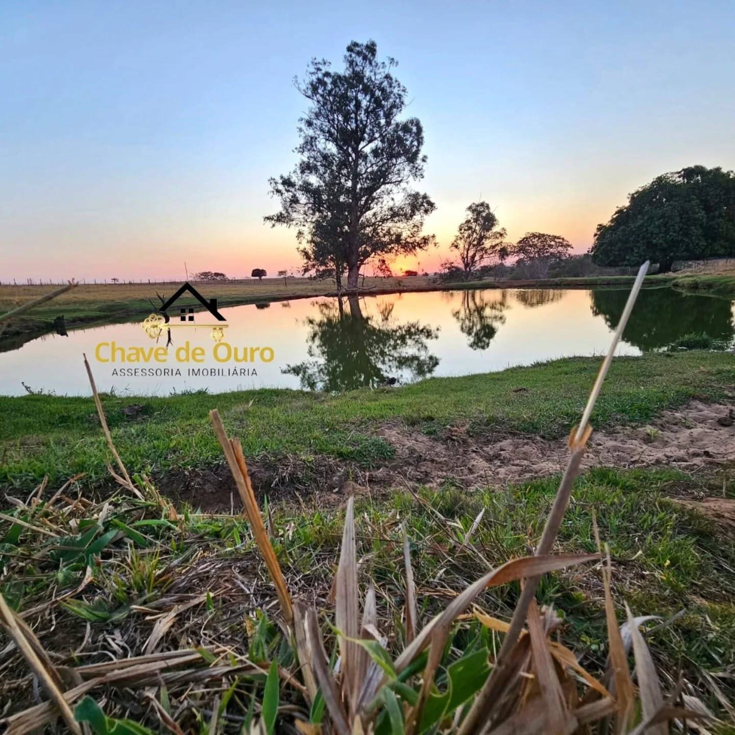 #338 - Sítio para Venda em Jales - SP