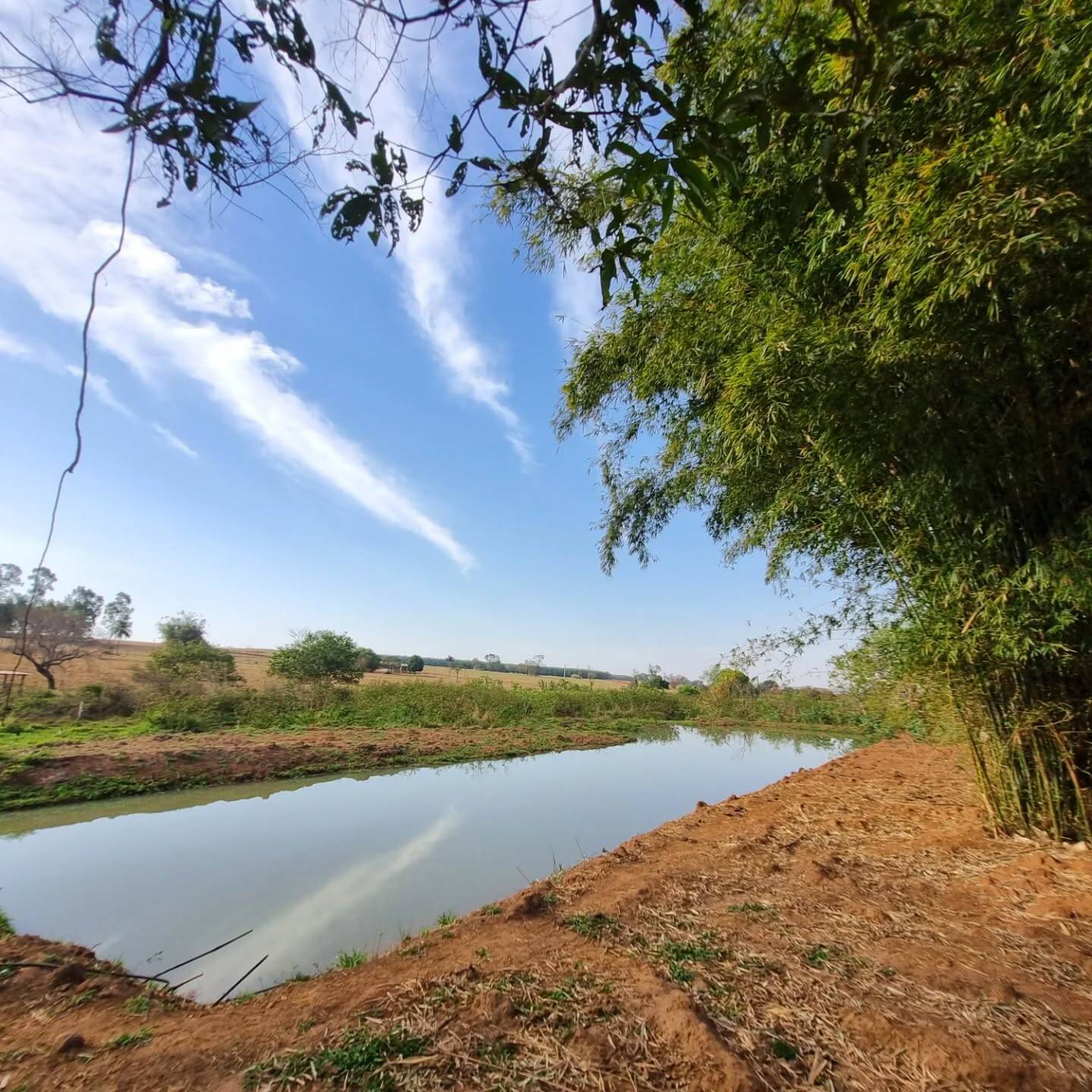 #341 - Chácara para Venda em Paranapuã - SP