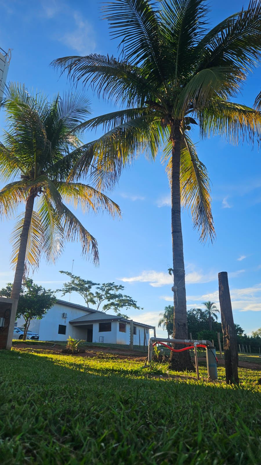 #357 - Chácara para Venda em Jales - SP