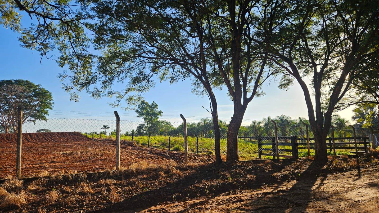 #391 - Chácara para Venda em Jales - SP