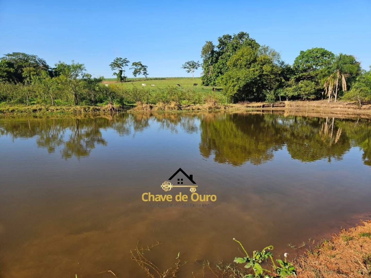 #402 - Sítio para Venda em Pontalinda - SP