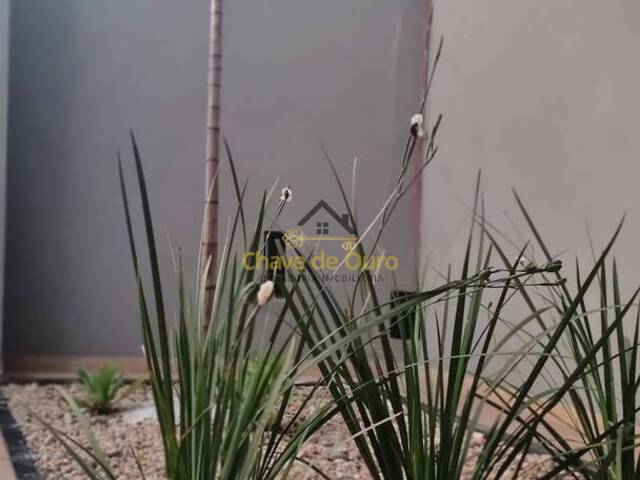 Casa para Venda em Jales - 3