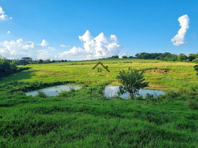 #218 - Sítio para Venda em Jales - SP - 3