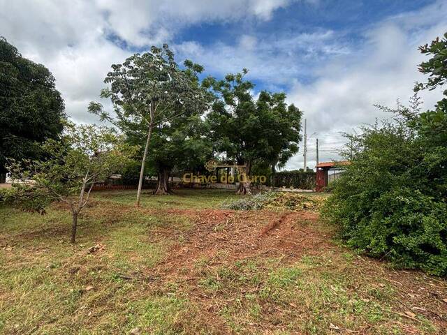 #274 - Chácara para Venda em Jales - SP - 1