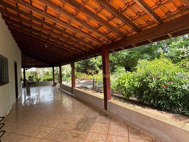 #274 - Chácara para Venda em Jales - SP - 3