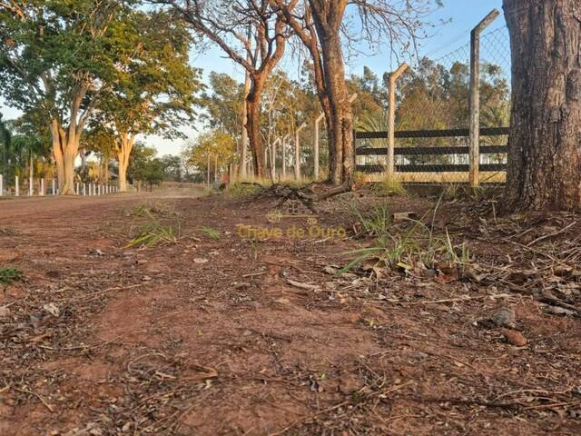 #280 - Chácara para Venda em Jales - SP - 2