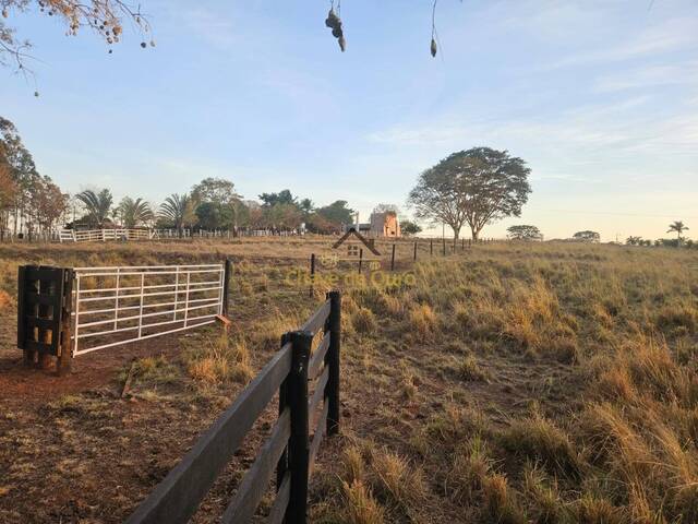 Chácara para Venda em Jales - 4