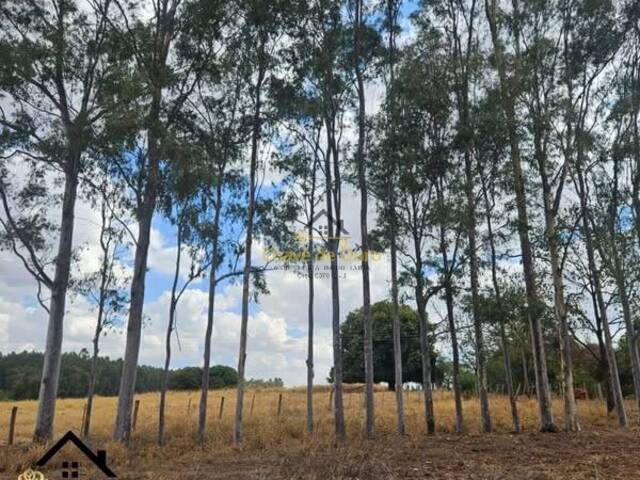 #281 - Chácara para Venda em Jales - SP - 1
