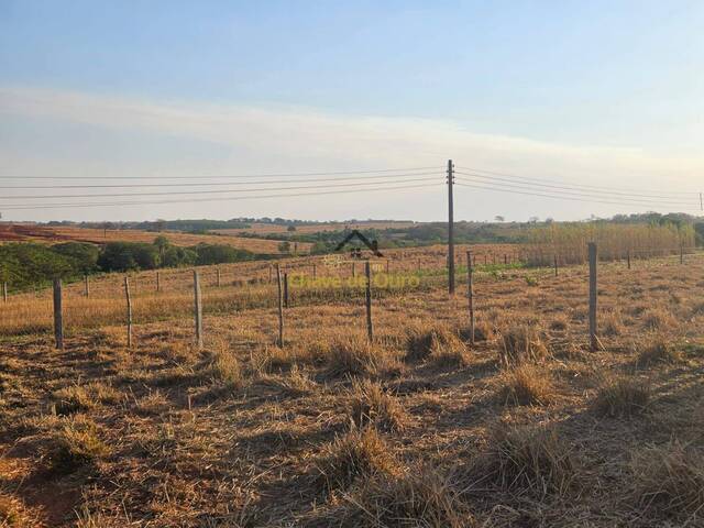 #290 - Chácara para Venda em Marinópolis - SP - 2