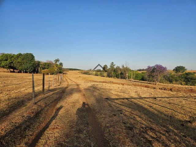 Chácara para Venda em Marinópolis - 4
