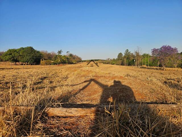 #291 - Sítio para Venda em Marinópolis - SP - 2