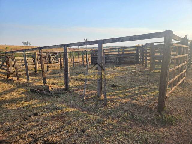 #291 - Sítio para Venda em Marinópolis - SP - 3