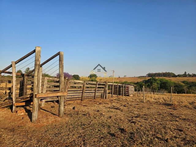 Sítio para Venda em Marinópolis - 5