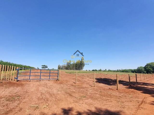 #298 - Sítio para Venda em Urânia - SP - 2