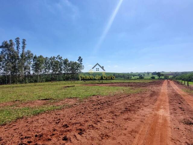 #298 - Sítio para Venda em Urânia - SP - 3