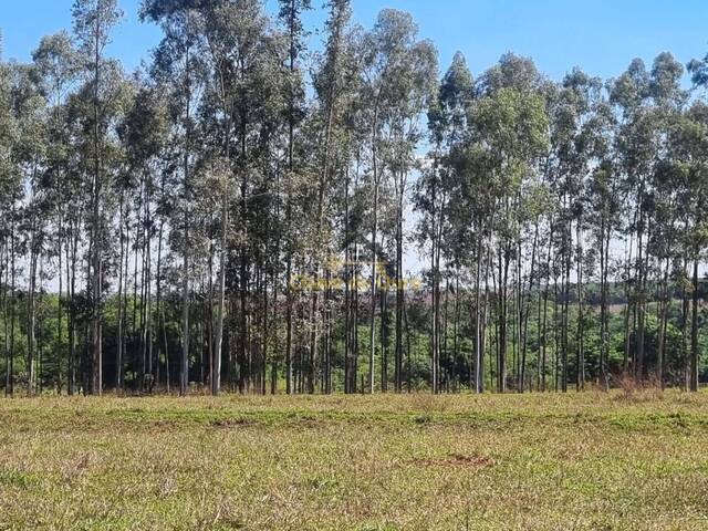 Sítio para Venda em Urânia - 4