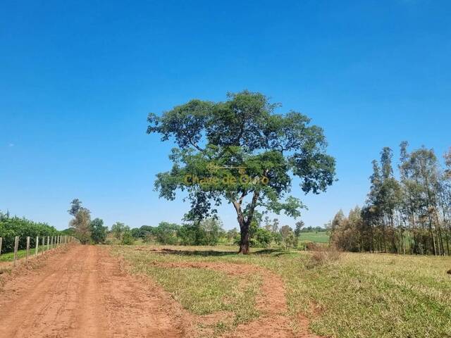 Sítio para Venda em Urânia - 5