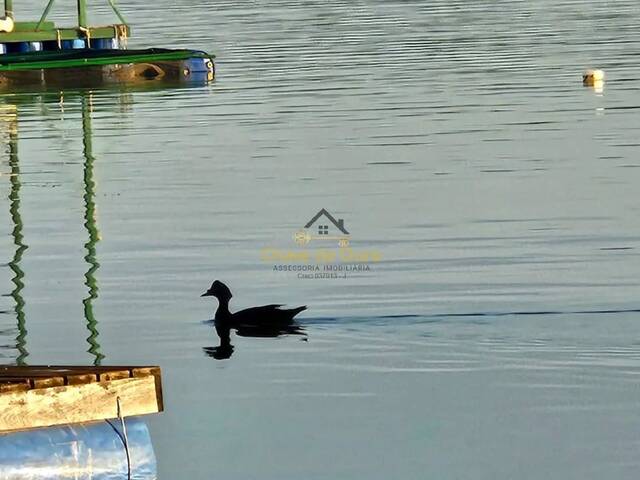 #300 - Chácara para Venda em Santa Fé do Sul - SP - 2