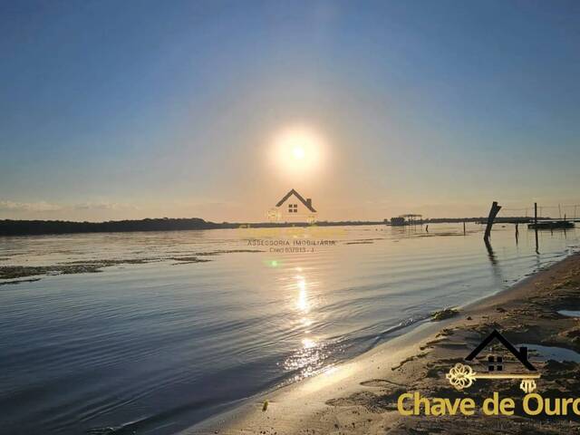 #300 - Chácara para Venda em Santa Fé do Sul - SP - 1