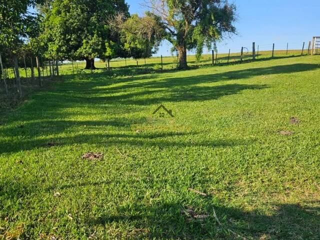 #301 - Sítio para Venda em Pontalinda - SP - 2