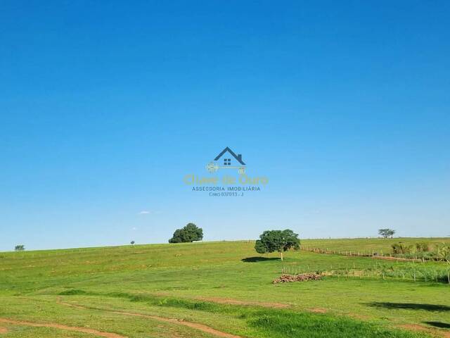 Sítio para Venda em Pontalinda - 4