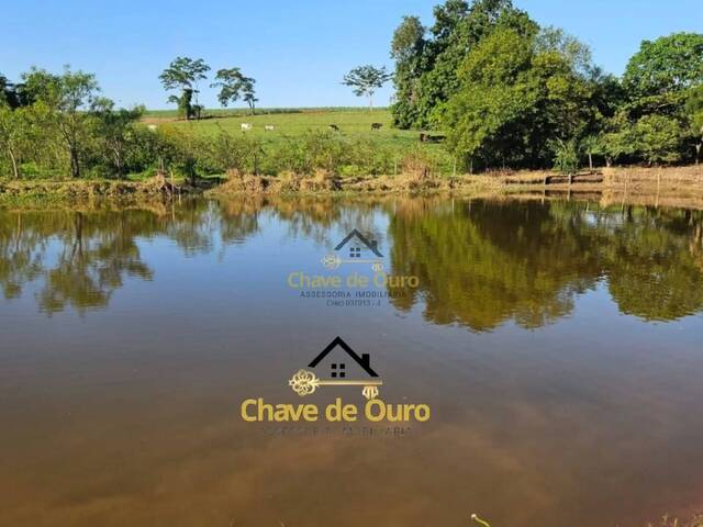 #301 - Sítio para Venda em Pontalinda - SP - 1