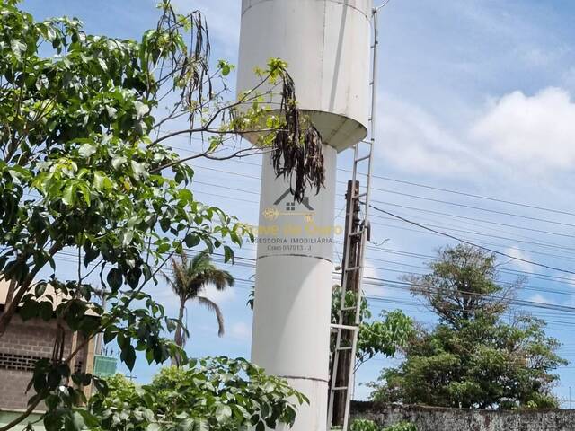 Chácara para Venda em Jales - 4
