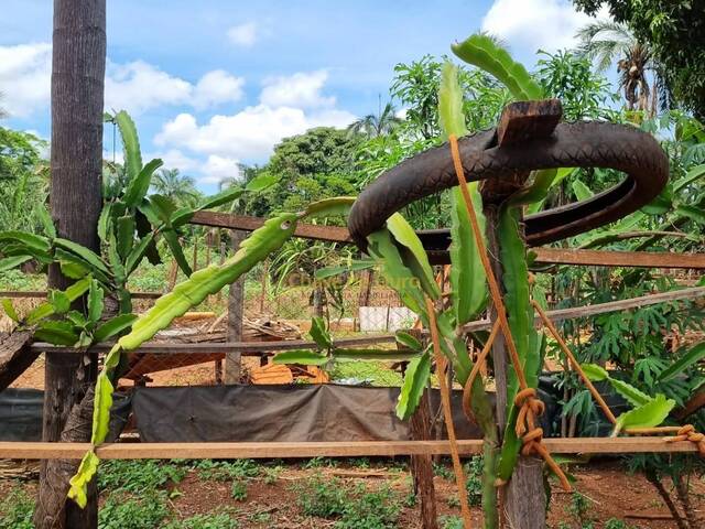 Chácara para Venda em Jales - 5