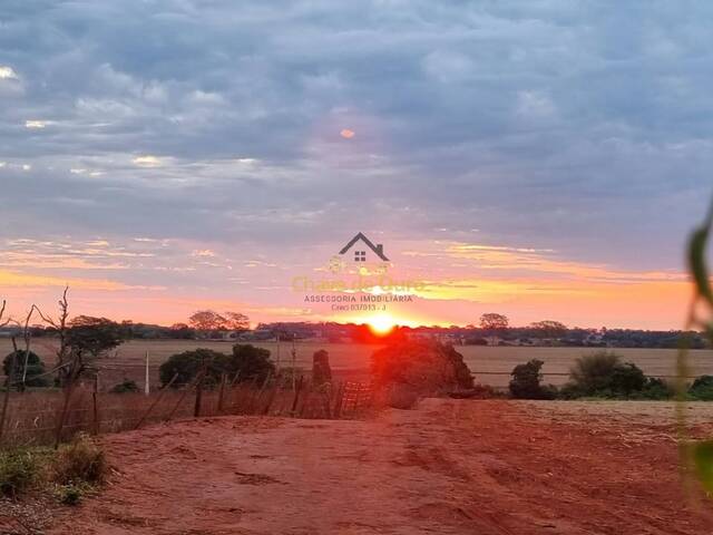 #312 - Chácara para Venda em Jales - SP - 1