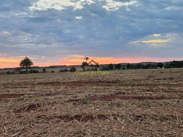 #312 - Chácara para Venda em Jales - SP - 2