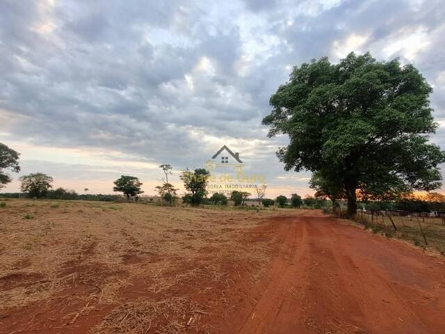 Chácara para Venda em Jales - 4