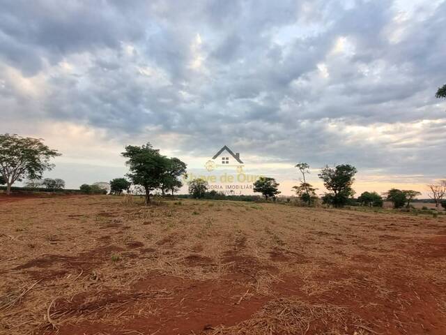 #312 - Chácara para Venda em Jales - SP - 3