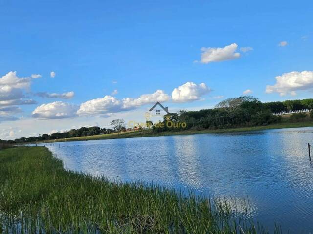 #317 - Chácara para Venda em Paranapuã - SP - 1