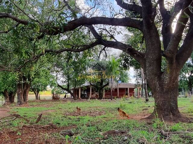 #317 - Chácara para Venda em Paranapuã - SP - 2