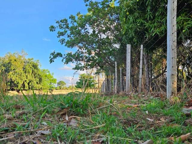 Chácara para Venda em Paranapuã - 5