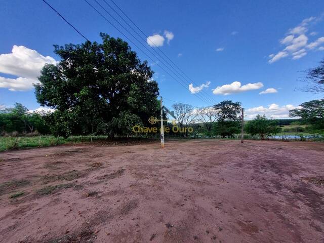 #318 - Chácara para Venda em Jales - SP - 3