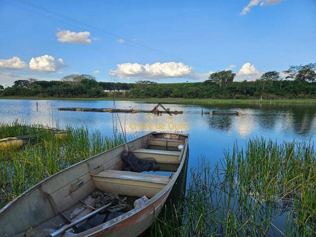 #318 - Chácara para Venda em Jales - SP - 1
